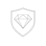 Asset Protection Icon